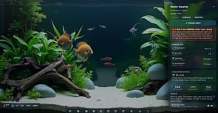 My Beautiful Aquarium