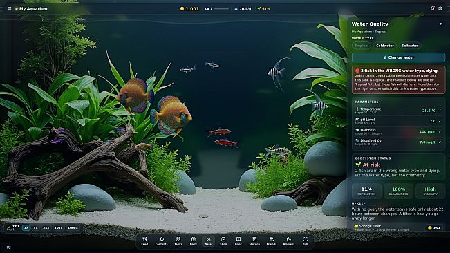 My Beautiful Aquarium