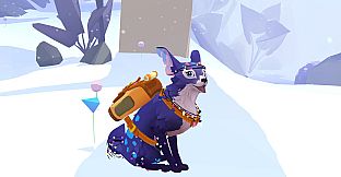 Stay: Your Forever Pet!