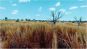Awesome Metal Detecting