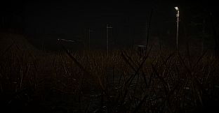 Lithium Inmate 39 Relapsed Edition