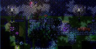 Flowerless Gardenia 白花未咲