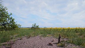 HIKE: Beyond the Trails