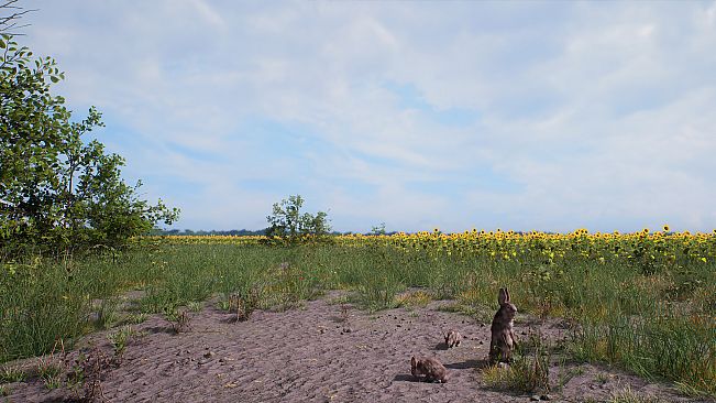 HIKE: Beyond the Trails