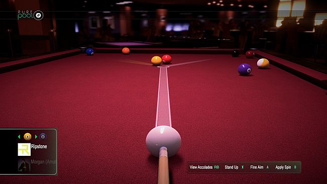 Pure Pool - VooFoo DNA