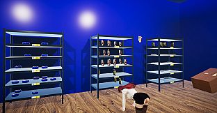 Game Shop Simulator