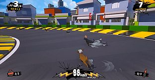 Chihuahua Racing