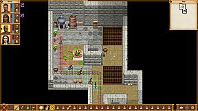 Queen's Wish: The Conqueror