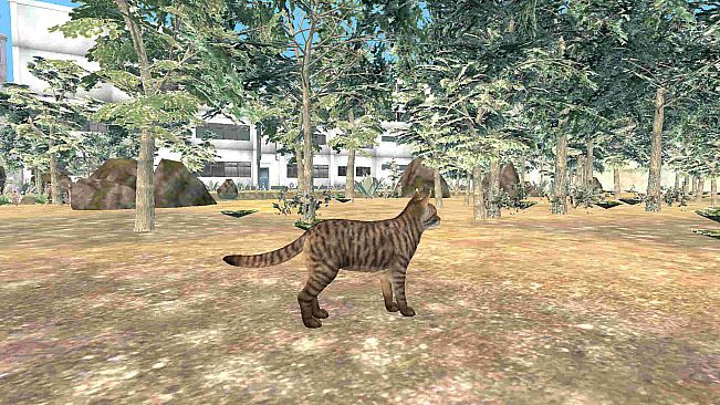 Lost Cat Showa Town