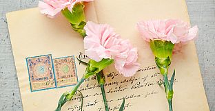 Master of Pieces Jigsaw Puzzles- Still Life # 1 DLC