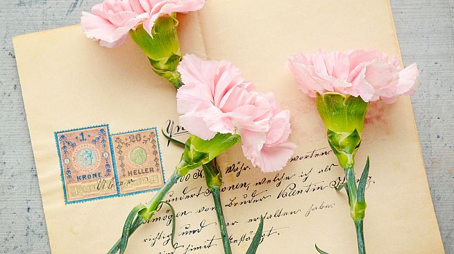 Master of Pieces Jigsaw Puzzles- Still Life # 1 DLC