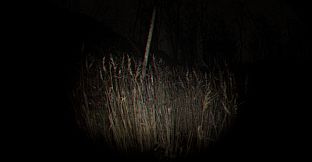 Playback Trauma: The Dog