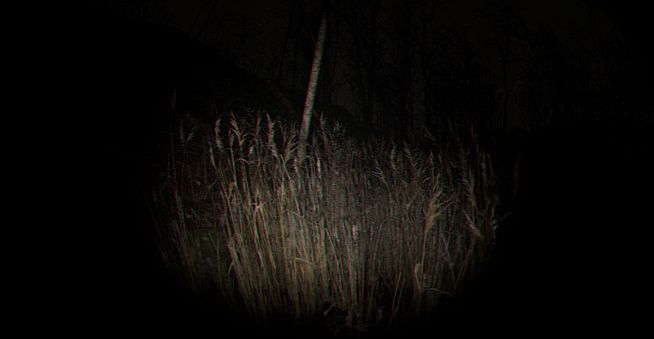 Playback Trauma: The Dog