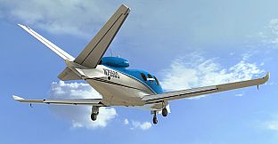 RealFlight Evolution - 2023 Year Content Pass