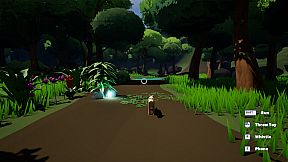 Dog Walking Adventures