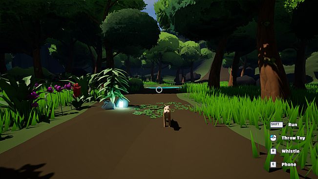 Dog Walking Adventures