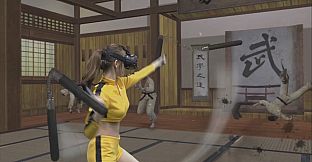 Kung Fu All-Star VR