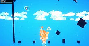 COCKEYED HELICOPTERS