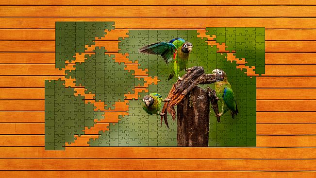 Whispers of Wings Jigsaw Puzzles - Expansion Pack 2