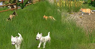 Wildlife Park 2 - Domestic Animals