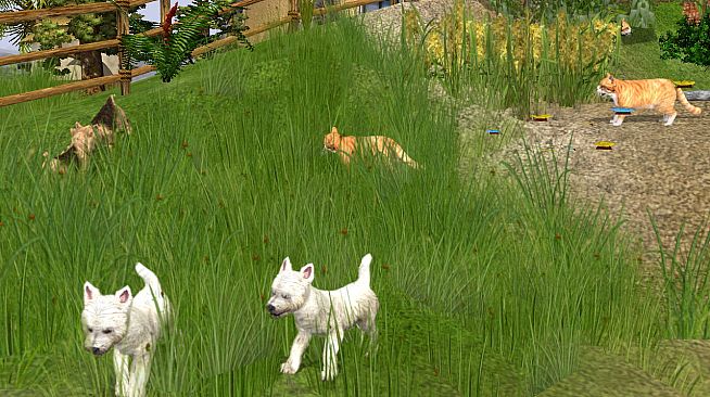 Wildlife Park 2 - Domestic Animals