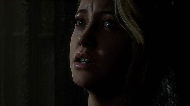 The Dark Pictures Anthology: Man Of Medan