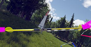 Wings Simulator