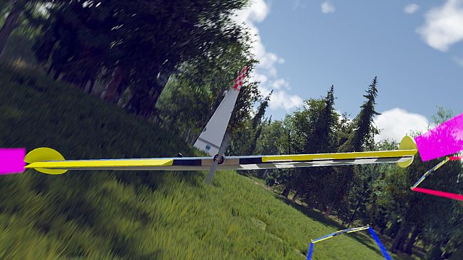 Wings Simulator