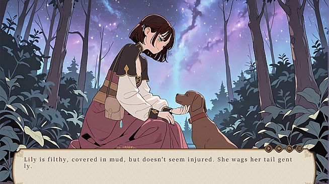 The Sojourning Wise Woman's Final Quest