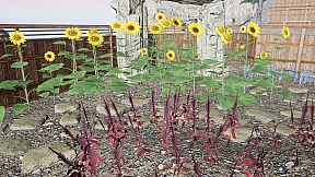 Experience: Colorblindness