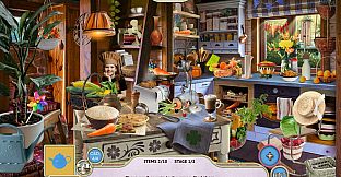 Sweet Home: Look and Find Collector's Edition