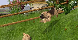 Wildlife Park 2 - Domestic Animals