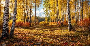 Puzzles Forest
