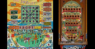 Bingo Pinball Gameroom - Bally Sun Valley