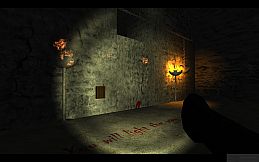 Madness of the Architect