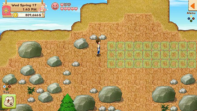 Harvest Moon: Light of Hope Special Edition - Decorations & Tool Upgrade Pack