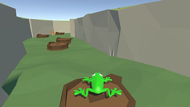 A frog in a small pond