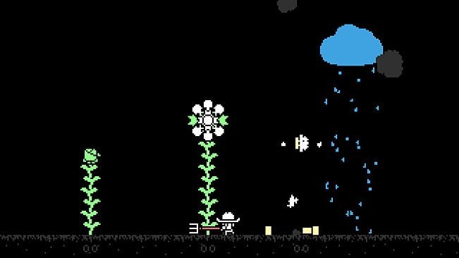 Tuttle: Star Flower Harvest