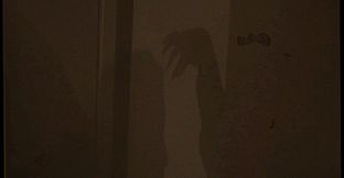 Flesh Eating Geriatric Internet Predator