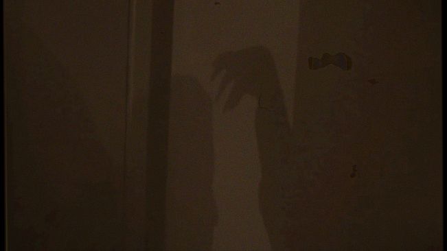 Flesh Eating Geriatric Internet Predator