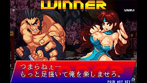 Strip Fighter ZERO