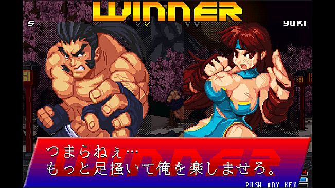 Strip Fighter ZERO
