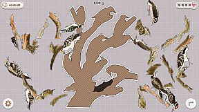 Birds Huddled Together