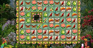 Robin's Island Adventure