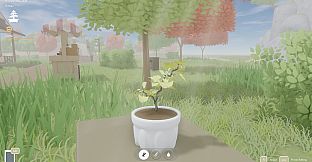 Bonsai Island