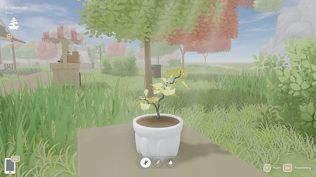 Bonsai Island