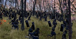 Total War: SHOGUN 2