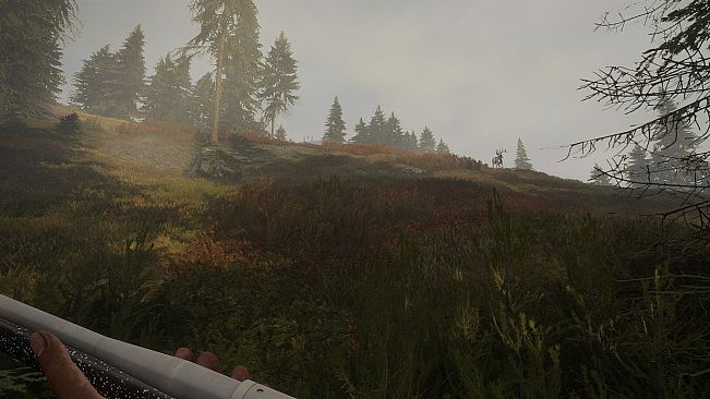 theHunter: Call of the Wild - Hunter Power Pack