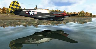 IL-2 Sturmovik: P-40E-1 Collector Plane