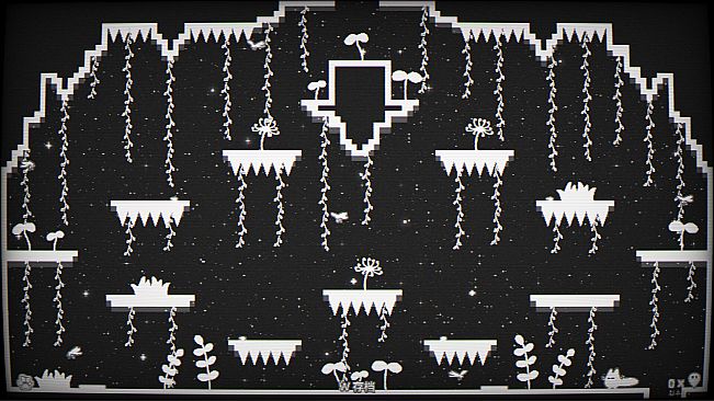 Cats Catching Mice: The Black and White World